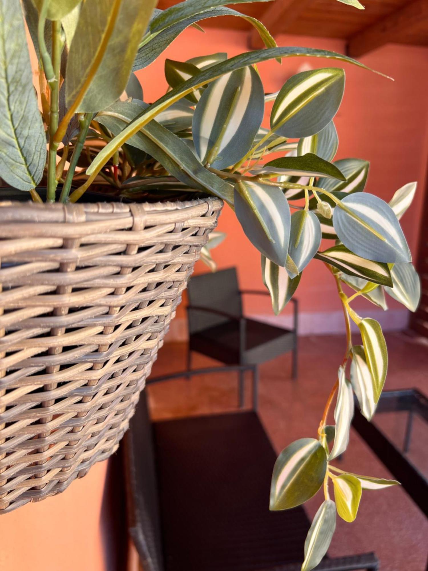 Casa Vacanze Filippa Балестрате Екстериор снимка